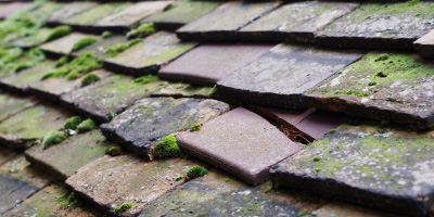 Capel Coch roof repair costs